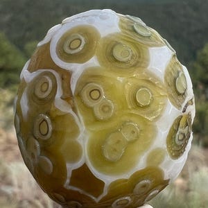 Golden Dragons Egg Gobi Eye Agate • 35 Grams • Gobi Desert Mongolia Agate Rare Chalcedony and Agate Eyes Metaphysical Healing Crystals