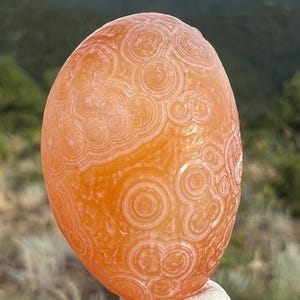 Orange Creamsicle Gobi Eye Agate • 17 Grams Gobi Desert Mongolia Agate Rare Chalcedony and Agate Eyes Metaphysical Healing Crystals