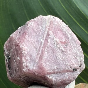 May include: A rough-cut, pink gemstone with a crystalline structure. The stone has a slightly irregular, geometric shape with visible surface striations and dark inclusions. The background is a blurred green leaf.