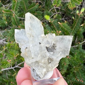 Thick Blue Barite Fan Cluster From Morocco • 48 Grams • Moroccan Blue Baryte Crystal Cluster w/ Pyrite Gemmy Barite Crystal