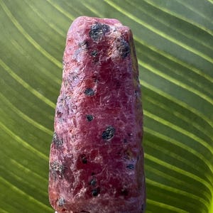 May include: A rough-cut ruby gemstone with a deep red hue and dark inclusions. The natural stone has a textured surface and an irregular shape. The background features a green leaf with prominent veining, providing a natural contrast to the ruby.