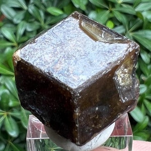 Nice Elestial Garnet From Mali Africa • 33 Grams Genuine Etched Andradite Garnet Crystal January Birthstone Natural Raw Rare Garnet Crystal
