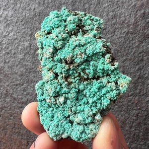 May include: A vibrant, textured mineral specimen featuring a striking turquoise-green hue. The surface is covered in small, clustered formations, with areas of dark brown and white. This unique piece is held in a hand.