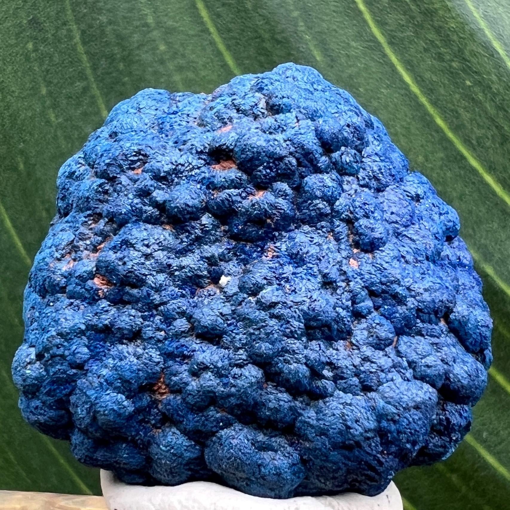 Blue Azurite Blueberry Crystal From Morocco • 12 Grams Natural Raw 