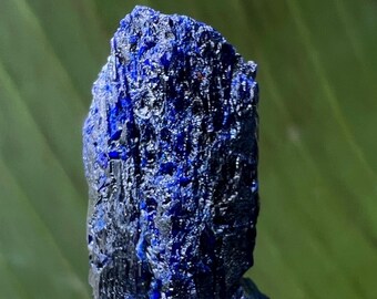 モロッコ・トゥイシット産の宝石のようなアズライト結晶クラスター • 4