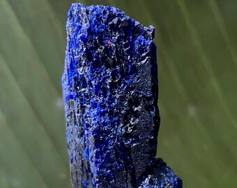 モロッコ・トゥイシット産の宝石のようなアズライト結晶クラスター • 4
