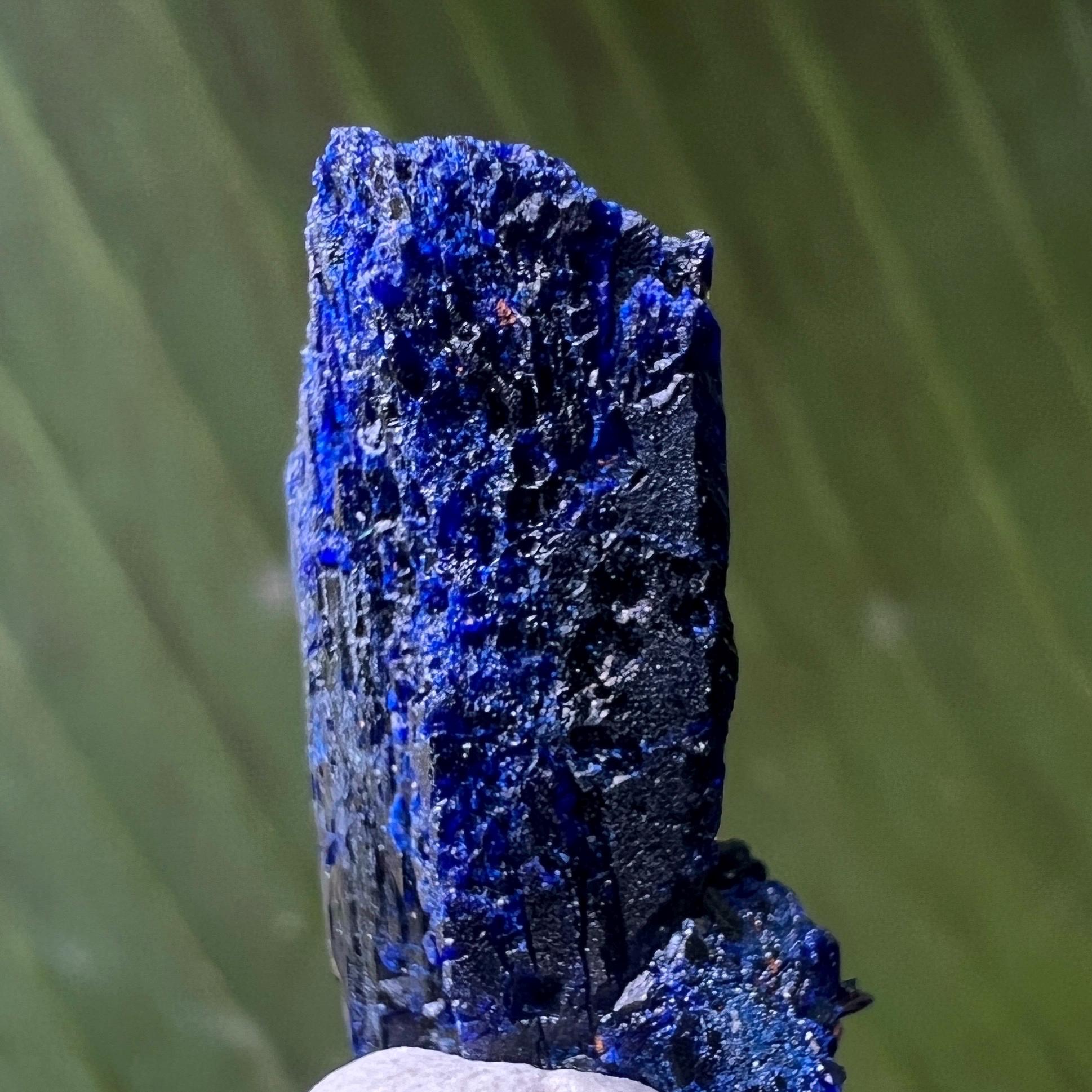 モロッコ・トゥイシット産の宝石のようなアズライト結晶クラスター • 4