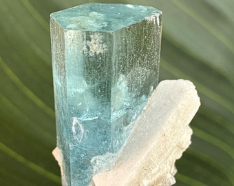 Sky Blue Aquamarine With Smoky Quartz Bunch On Feldspar From