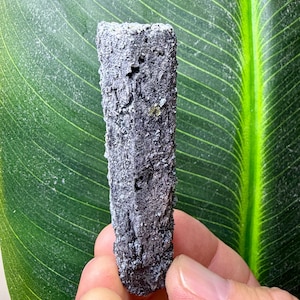 One Of A Kind Foitite on Black Tourmaline • 58 Grams NEW FIND Crystal Group Mineral Specimen From Erongo Mountain of Namibia Africa