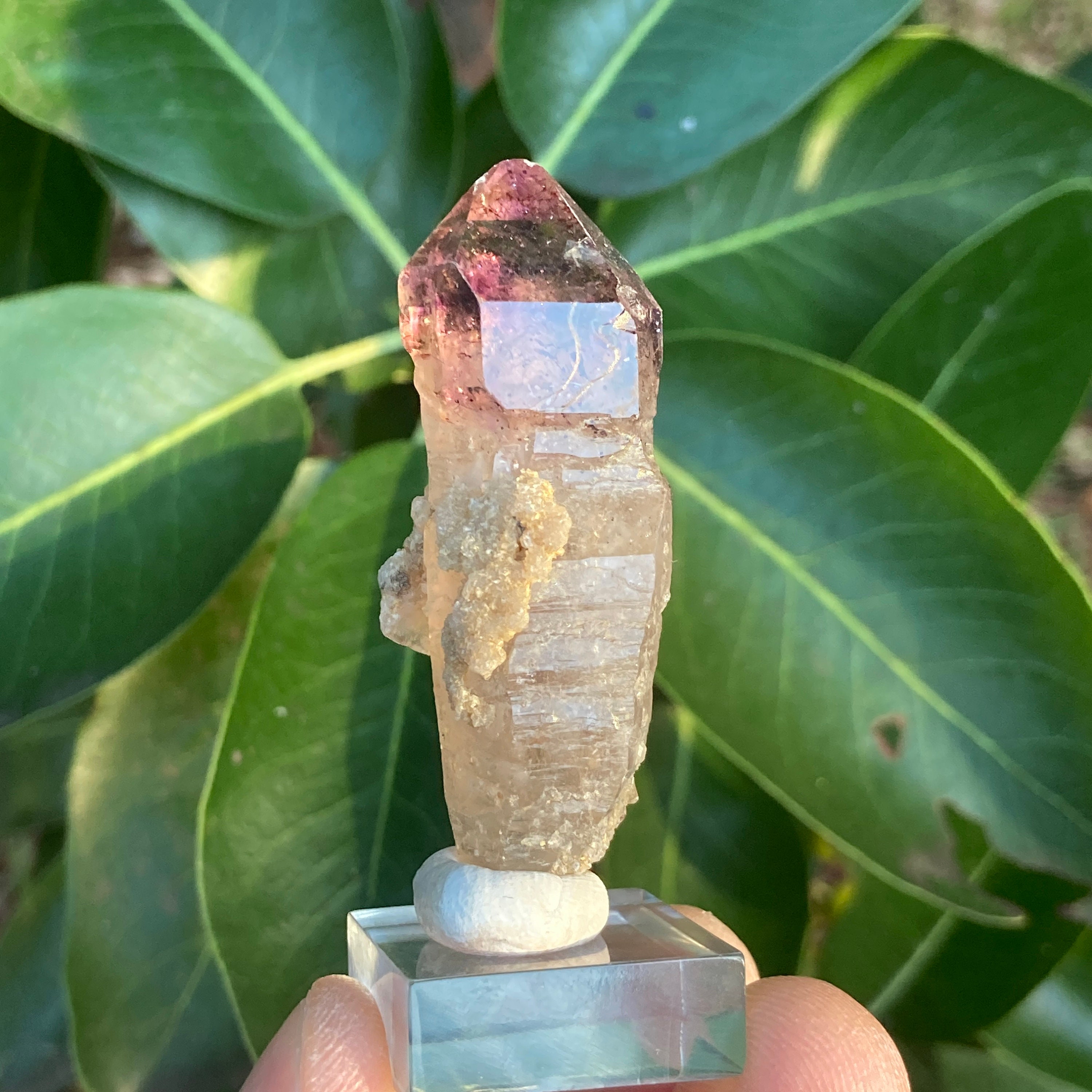 天然アメジストセプター 飽和紫水晶 宝石品質の赤ヘマタイト含有 • 22