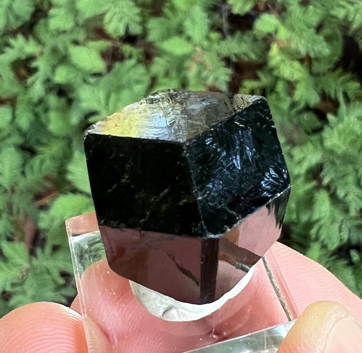Black Tourmaline Crystal Mercedes Point From Erongo Namibia Africa