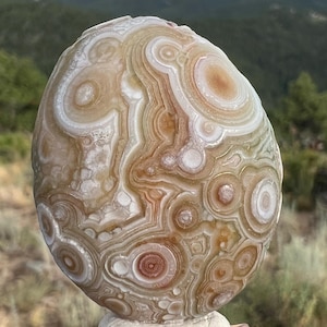 Gorgeous Swirling Yellow Green & Orange Gobi Eye Agate • 36 Grams • Gobi Desert Mongolia Agate Rare Chalcedony Metaphysical Healing Crystal