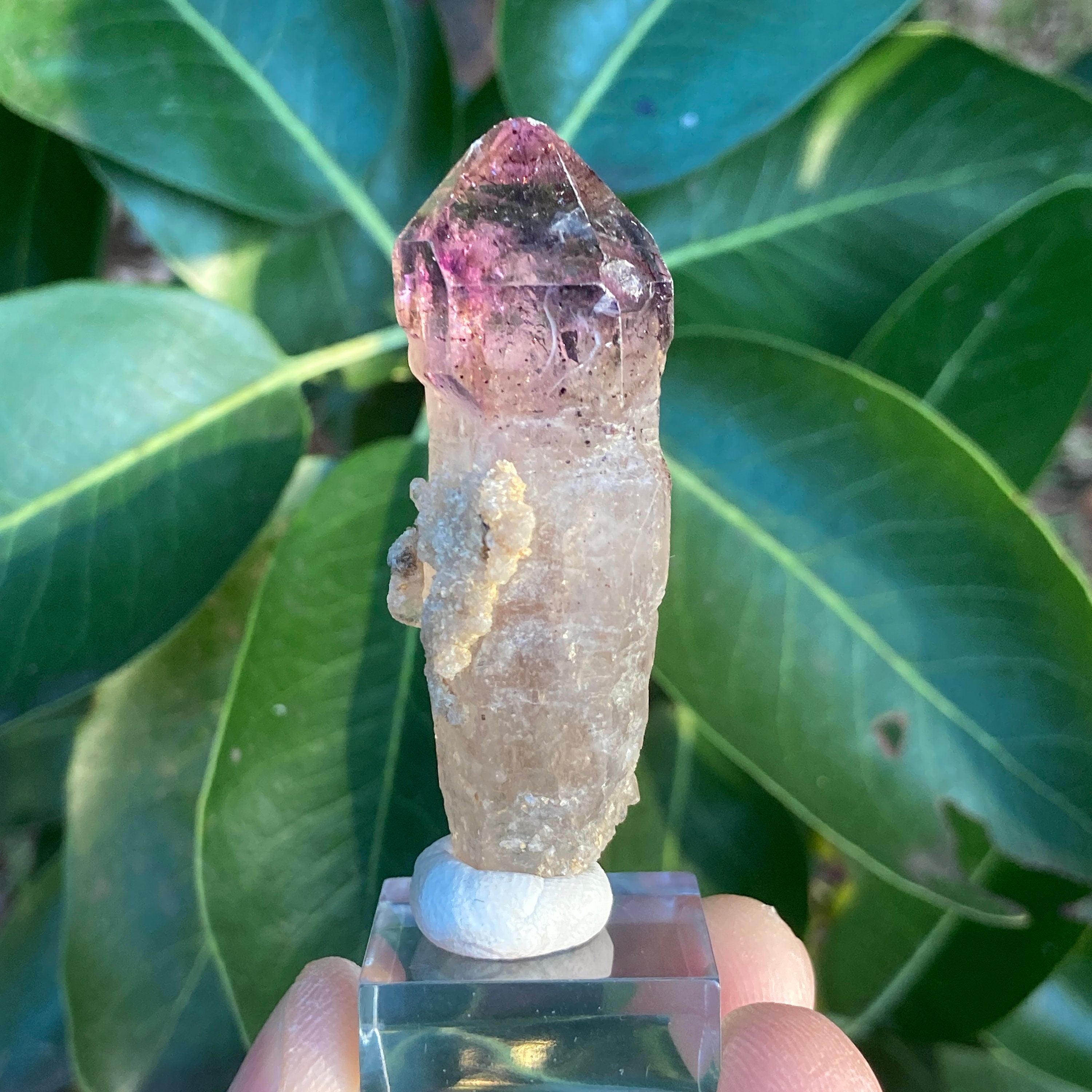 天然アメジストセプター 飽和紫水晶 宝石品質の赤ヘマタイト含有 • 22