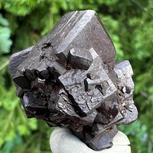 May include: A dark brown mineral specimen with a complex, geometric structure. The mineral has a rough, textured surface and a deep colour. The specimen is held in a gloved hand against a blurred green background.