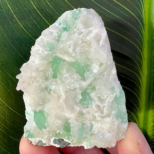 May include: A raw, natural fluorite crystal with a mix of white and light green hues. The crystal has a rough, textured surface with visible crystalline structures. The overall shape is irregular, showcasing the natural formation of the mineral.