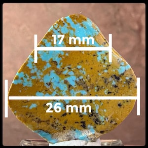 May include: A triangular turquoise gemstone featuring a matrix of vibrant blue and earthy mustard yellow with dark brown inclusions. The stone displays white measurement lines indicating a top width of 17 mm and a base width of 26 mm.