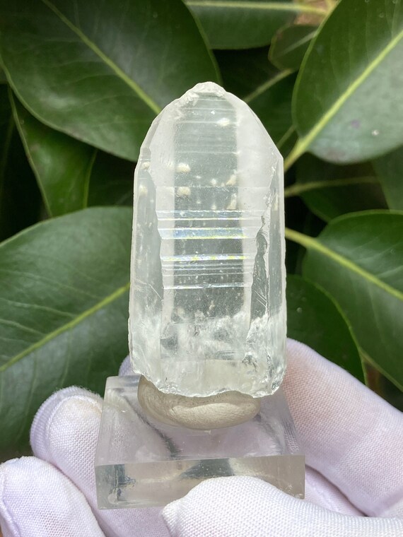 Elevated Lemurian Seed Crystal • 56 Grams • Akashic Bar Code