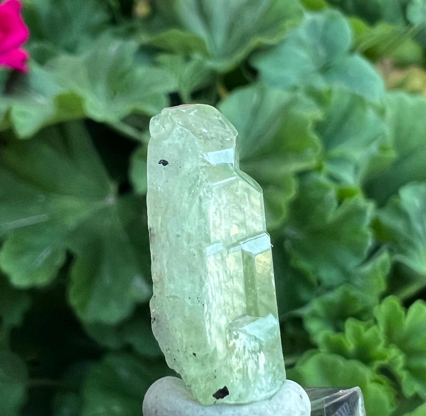 Chonky Green Vanadium Chrome Diopside Crystal • 5.5 Grams From