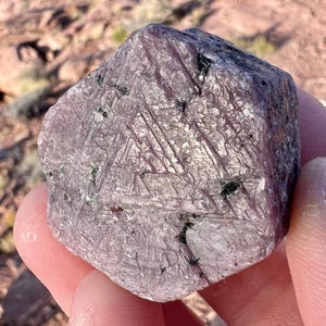 May include: A rough, uncut ruby gemstone with a crystalline structure. The ruby is a deep pinkish-red color with dark gray and black inclusions. The surface has a textured appearance, and the stone is held in a hand.