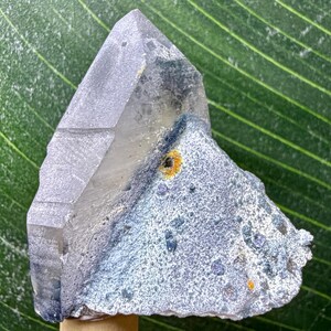 May include: A clear quartz crystal with a gray hue and a rough, textured base. The crystal has a pointed tip and a layered appearance. The base features small, colorful mineral deposits, including yellow and blue specks. The crystal is mounted on a wooden base.