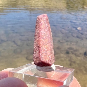 May include: A deep red ruby gemstone with a pointed shape, displayed on a clear glass stand. The ruby has a rough, textured surface.