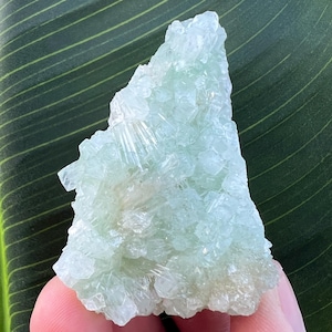 May include: A light green crystal cluster with a crystalline structure. The mineral has a translucent appearance and a slightly rough texture. The crystal is held in a hand against a green leaf background.