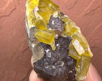May include: A mineral specimen featuring translucent, bright yellow cubic crystals clustered on a dark, deep purple, textured matrix. The crystalline structure displays sharp geometric edges and a glassy luster, contrasting against the dark base.