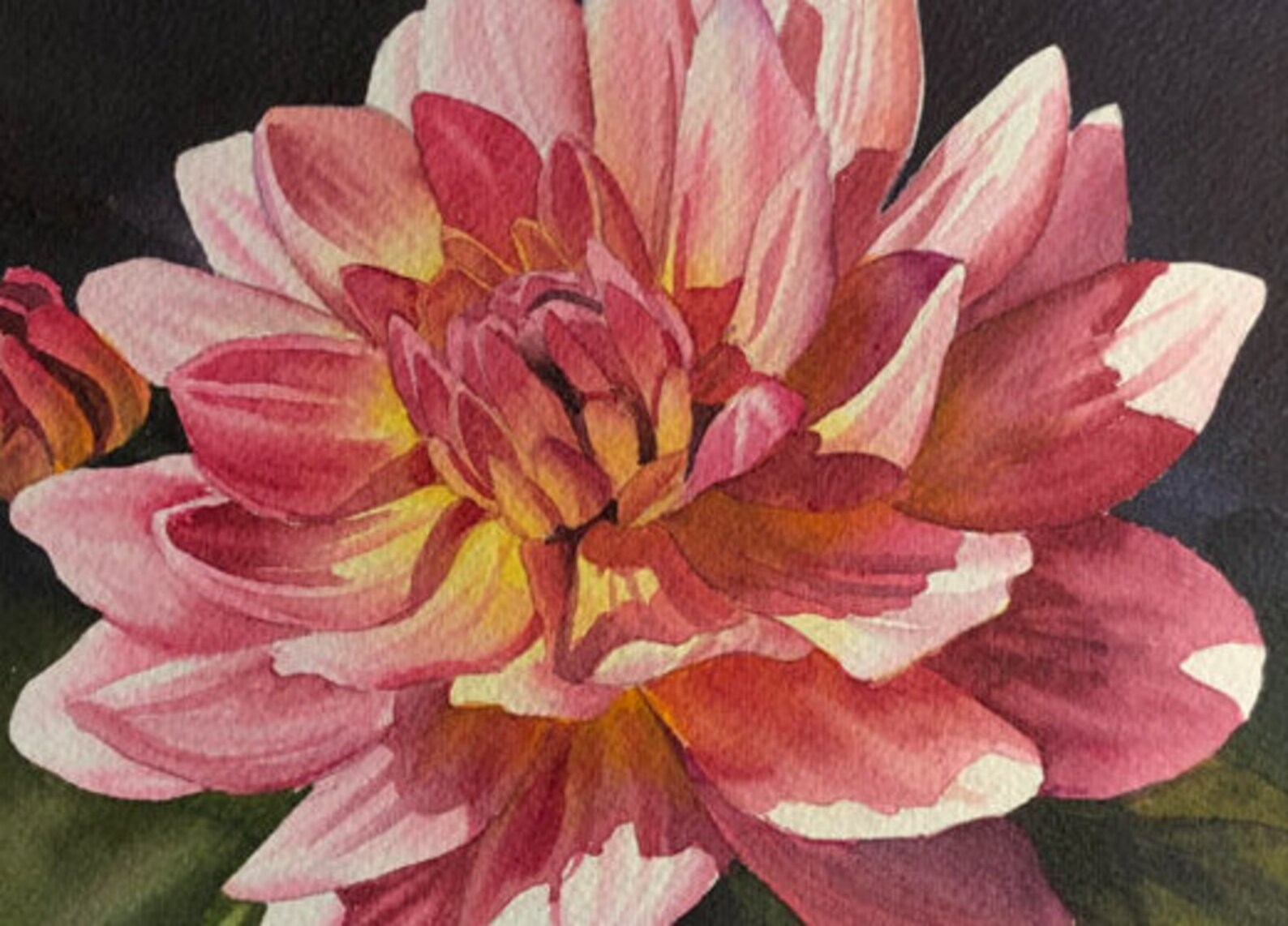 Original Watercolor Painting Dahlia Delight Ann Breckon Fine Etsy
