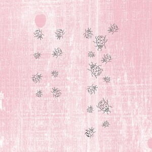 May include: A pink background with a scattered pattern of gray ladybugs. The ladybugs are all facing the same direction and have black spots.