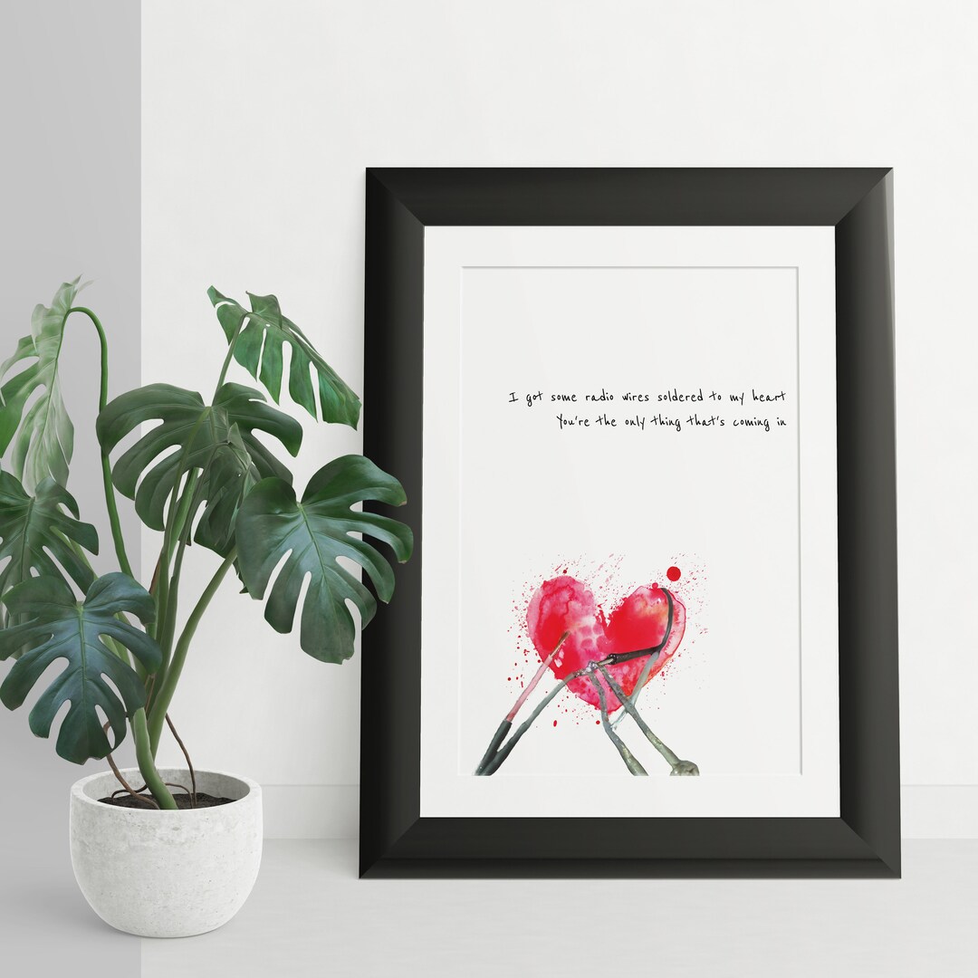 Rainbow Kitten Surprise Hide radio Wires Etsy