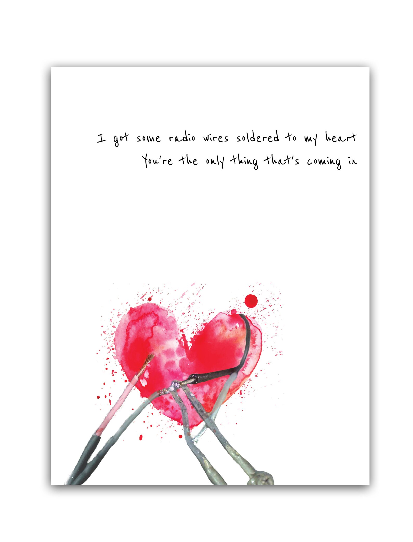 Rainbow Kitten Surprise Hide radio Wires Etsy