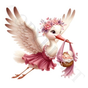 Beskleurige ooievaar babymeisje clipart | 10 transparante png-afbeeldingen | Babyaankomstbundel | Babyshowerkunst | Afdrukbare items | Commercieel gebruik