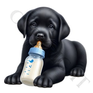 Cucciolo con biberon Clipart / Labrador Retriever nero / 10 immagini PNG / Decorazioni per la cameretta dei bambini / Illustrazioni di cani carini / Uso commerciale