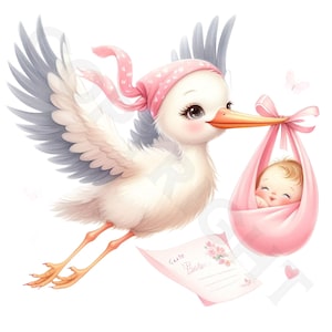 Cicogna neonata Clipart / 10 immagini PNG trasparenti di alta qualità / Pacchetto arrivo neonata / Arte baby shower / Materiali stampabili / Uso commerciale