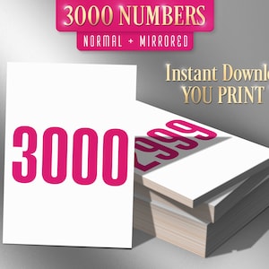 3000 afdrukbare Facebook Live-nummers, Facebook Live Number-kaarten, Sale-tags, normaal + gespiegeld 1-3000, Instant pdf-download, wit + roze