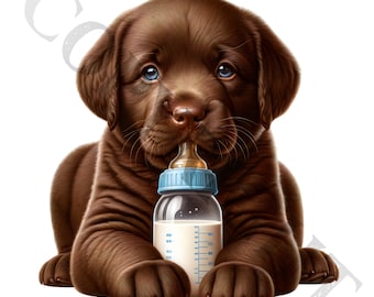 Chocolate Lab Puppy Clipart | Baby Bottle, Nursery Decor (10 PNG Images)