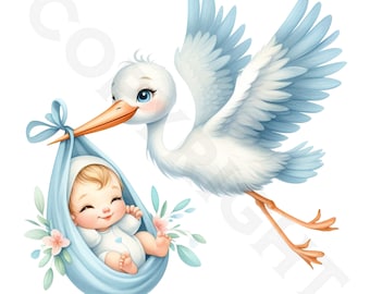 Stork Baby Boy Clipart | Watercolor PNG Images (Digital Download)