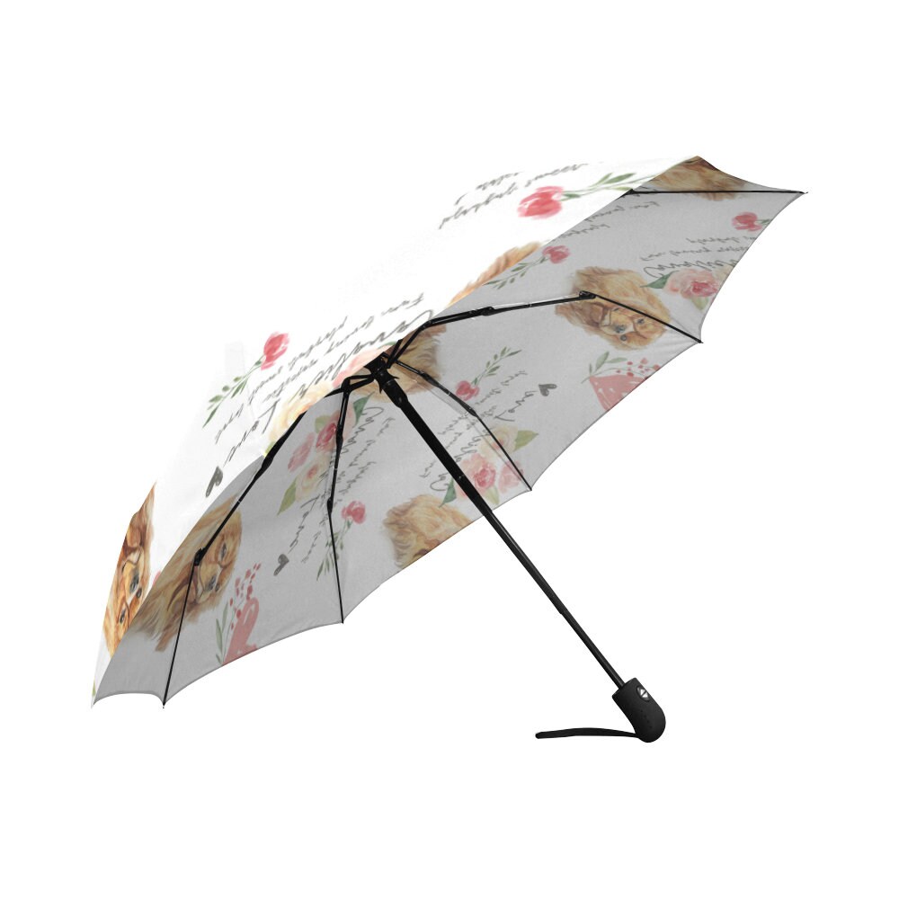 Umbrella Ruby Cavalier King Charles Spaniel umbrella with Etsy