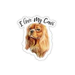 Cavalier King Charles Spaniel, Stickers, ruby cavalier king charles spaniel, I love my cavi stickers, dog lover sticker, gift