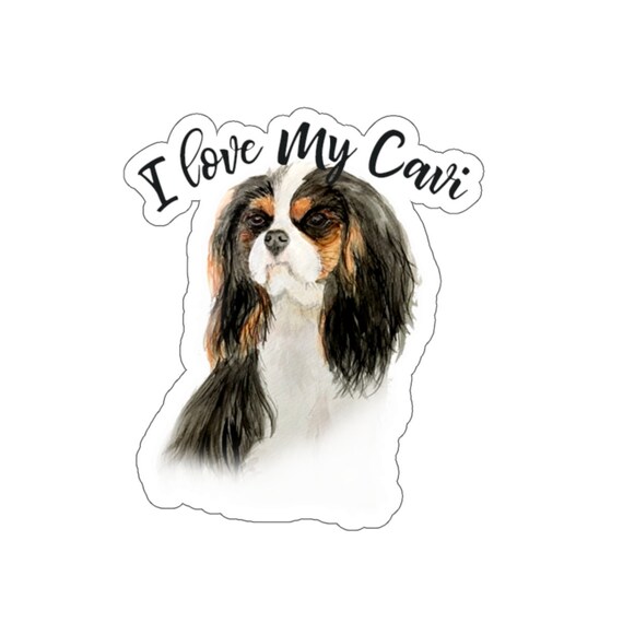 2 Piece Cavalier King Charles Spaniel Long Tee PJ Set - Black & Tan Cav 2 Piece Cavalier King Charles Spaniel Long Tee PJ Set - Black & Tan Cav