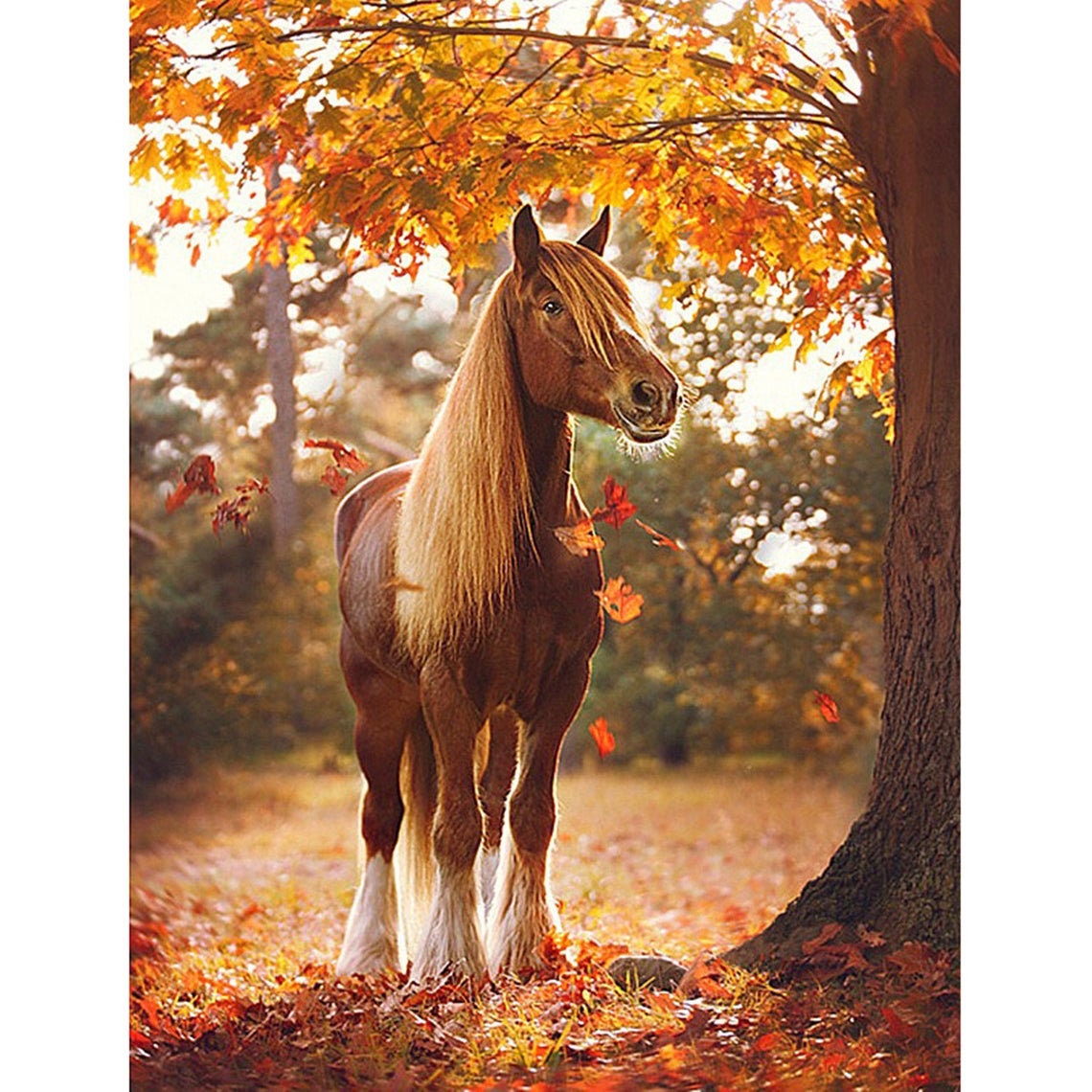 5D DIY Diamond Painting Kits Horse Diamond Embroidery Full Etsy