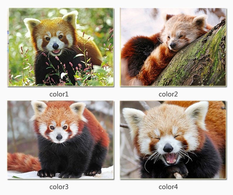 diamond painting red panda