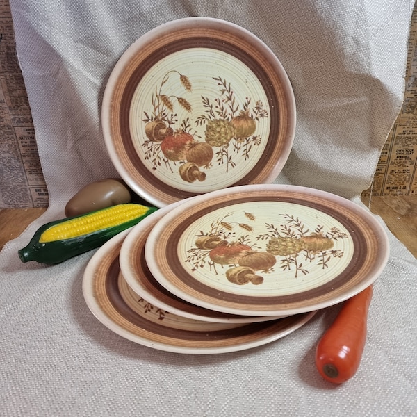Vintage mid century melamine plates x 4. Mushrooms onions & more.