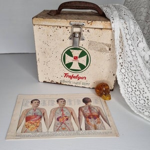 Placa/cuadro médico antiguo. Anatomía.
