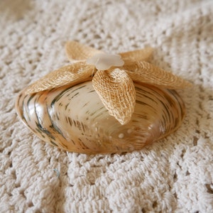 Vintage shell brooch