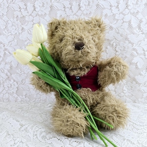 Shaggy Ted - Stash Jar. Hide away Jar.