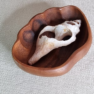May include: A white seashell with a rough texture sits inside a wooden bowl with a scalloped edge. The bowl is made of dark brown wood and has a natural finish.