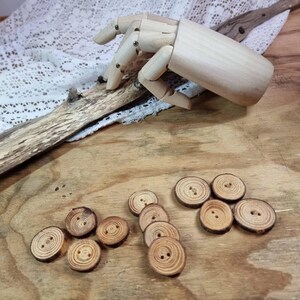 May include: A collection of 10 wooden buttons with two holes each. The buttons are made of natural wood and have a rustic look. They are arranged in a circle on a wooden surface.