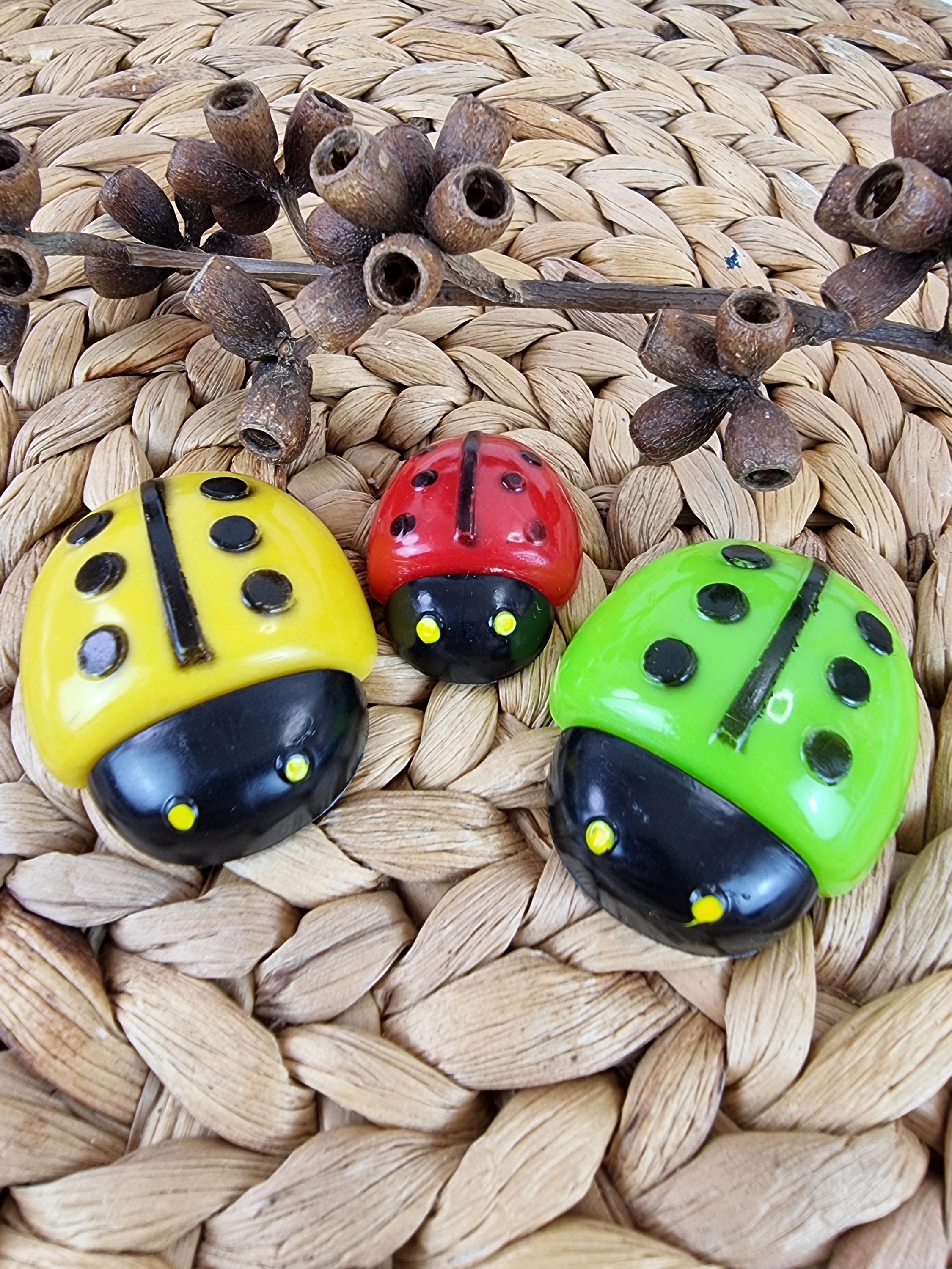 Lady bird ☆ photo_2025-02-11_15-41-