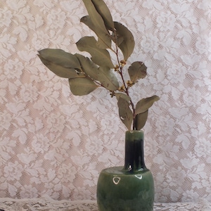 Może przedstawiać: Zielony ceramiczny wazon z ciemnoniebieską szyjką zawiera gałązkę suszonych liści eukaliptusa.